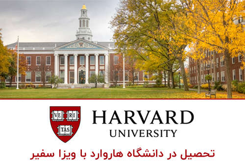 دانشگاه هاروارد